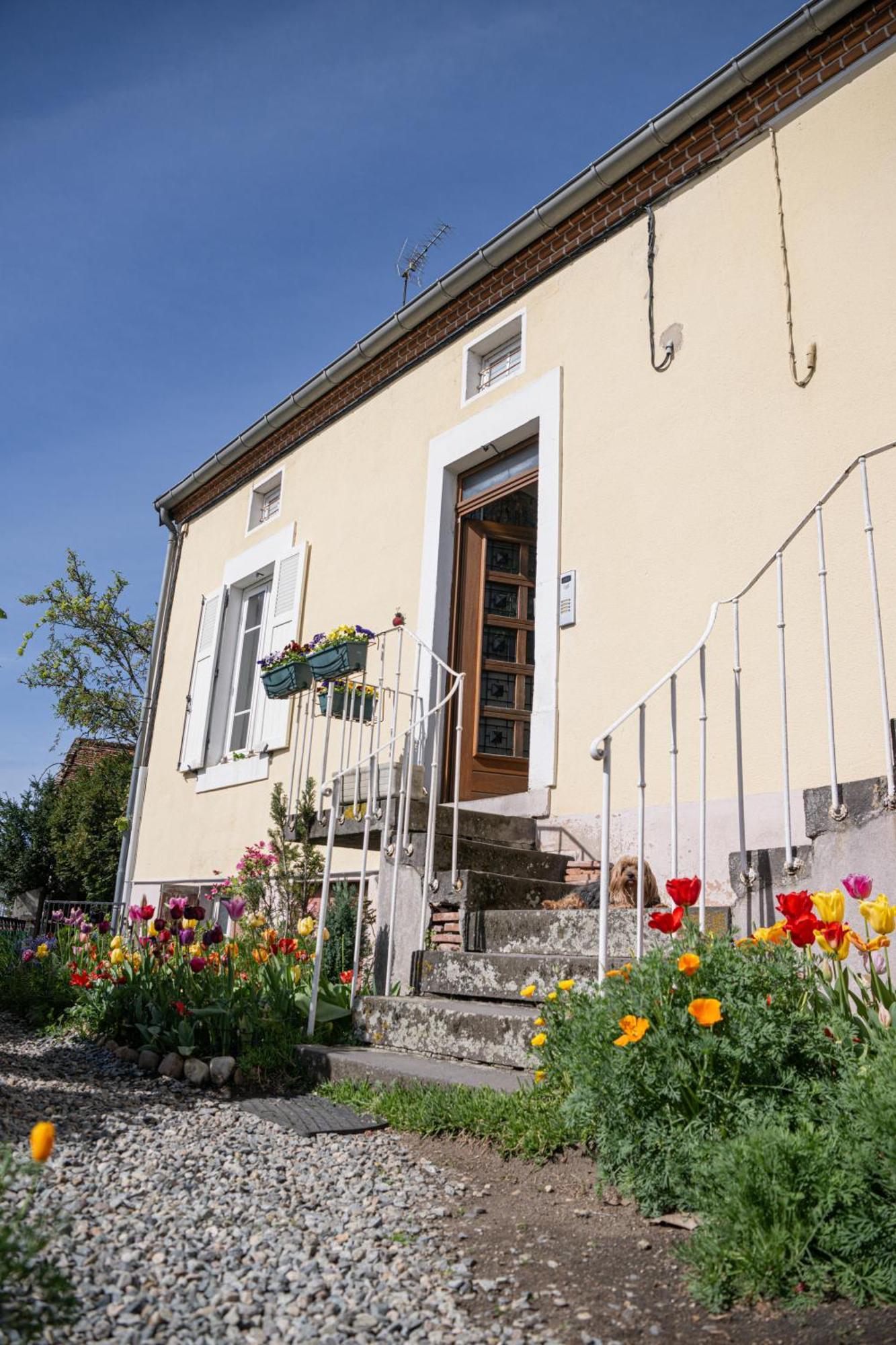 La Belle Rive Du Voyageur Διαμέρισμα Bellerive-sur-Allier Εξωτερικό φωτογραφία